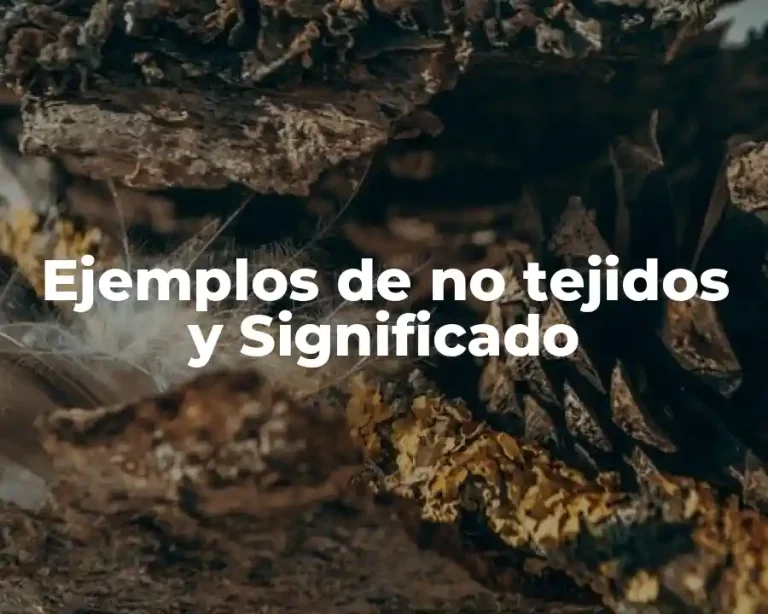 Ejemplos de no tejidos y Significado