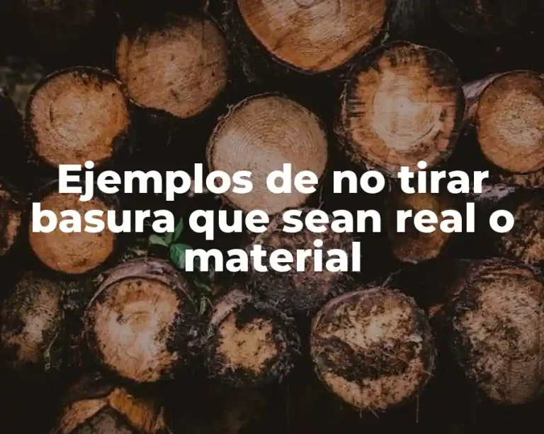 Ejemplos de no tirar basura que sean real o material