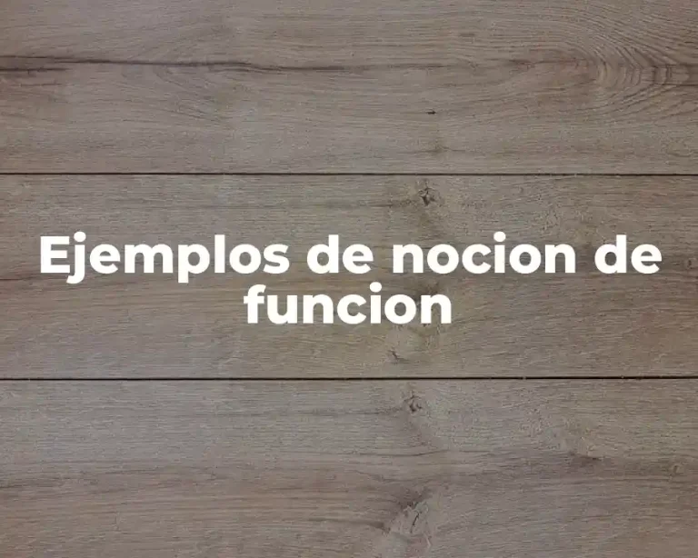 Ejemplos de nocion de funcion