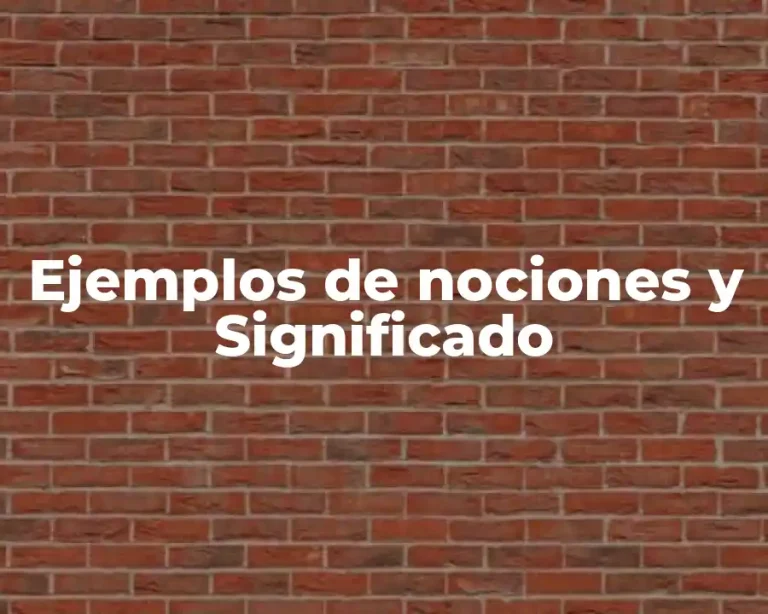 Ejemplos de nociones y Significado