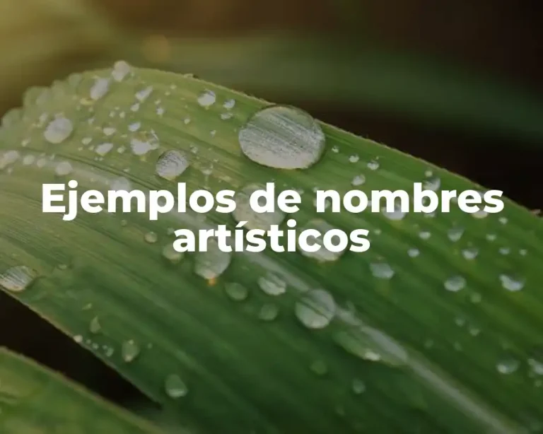 Ejemplos de nombres artísticos