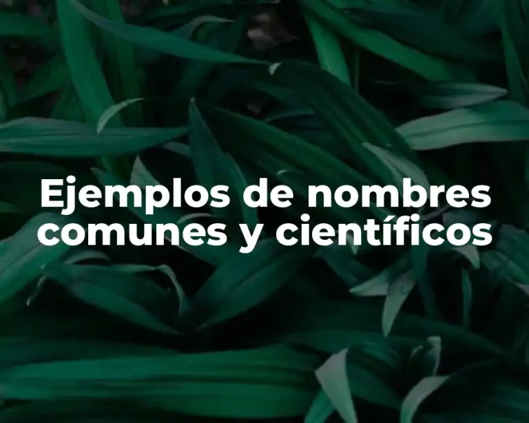 Ejemplos de nombres comunes y científicos