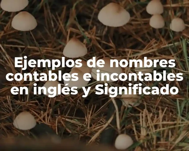 Ejemplos de nombres contables e incontables en inglés y Significado
