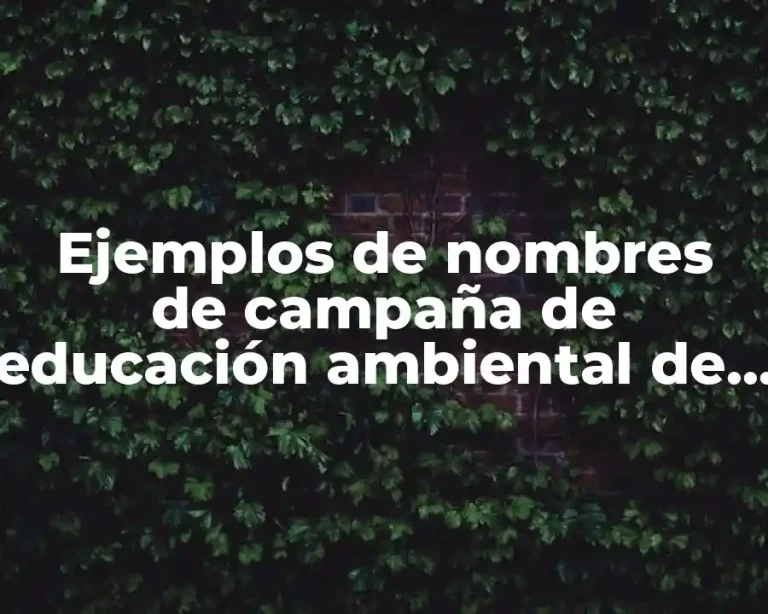 Ejemplos de nombres de campaña de educación ambiental de llantas