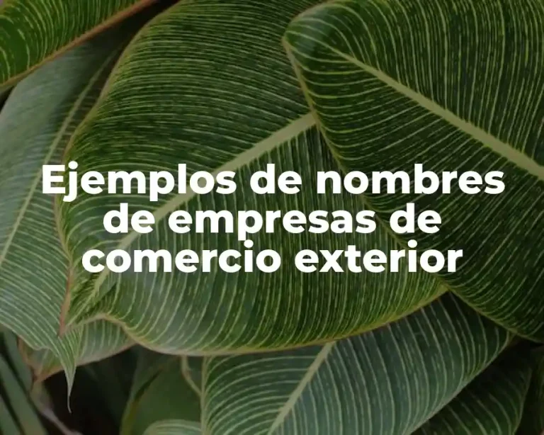 Ejemplos de nombres de empresas de comercio exterior