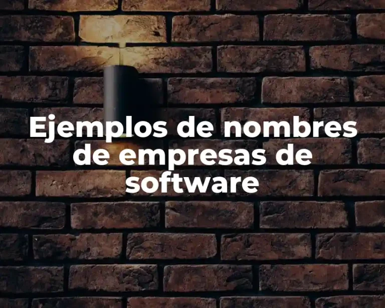 Ejemplos de nombres de empresas de software