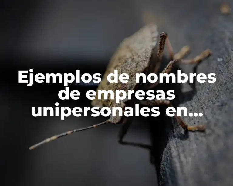 Ejemplos de nombres de empresas unipersonales en Colombia