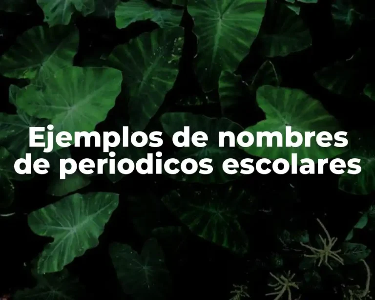 Ejemplos de nombres de periodicos escolares