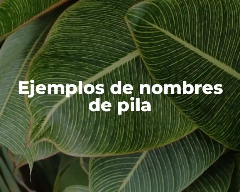 Ejemplos de nombres de pila