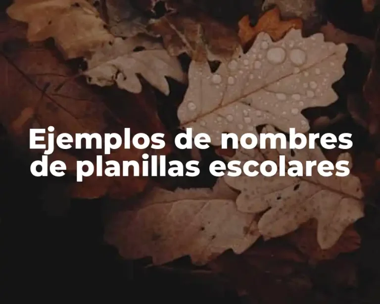 Ejemplos de nombres de planillas escolares