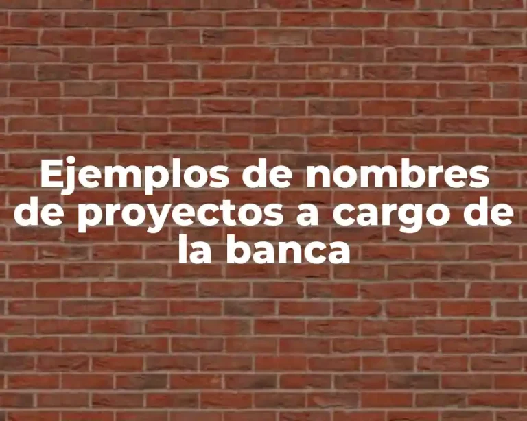 Ejemplos de nombres de proyectos a cargo de la banca