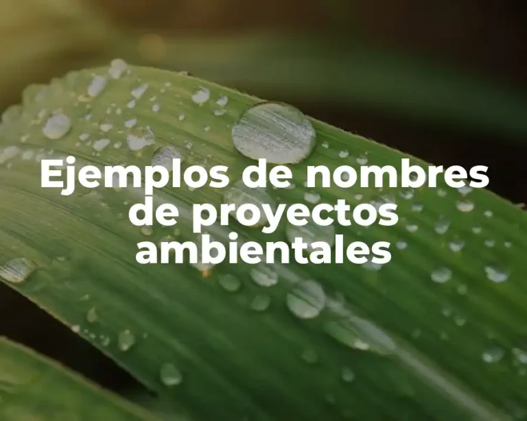 Ejemplos de nombres de proyectos ambientales