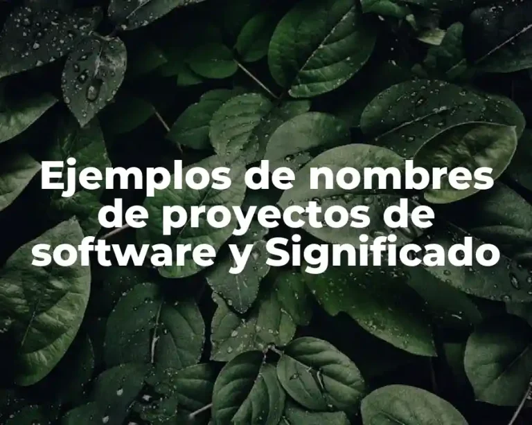 Ejemplos de nombres de proyectos de software y Significado