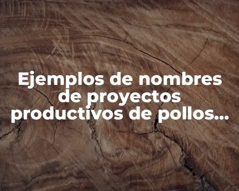 Ejemplos de nombres de proyectos productivos de pollos de postura