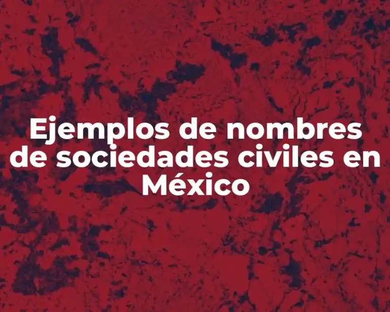 Ejemplos de nombres de sociedades civiles en México