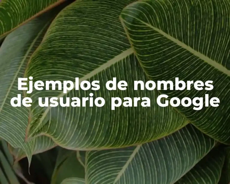 Ejemplos de nombres de usuario para Google