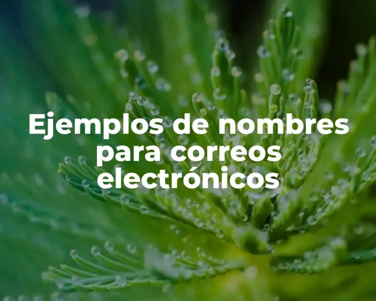 Ejemplos de nombres para correos electrónicos