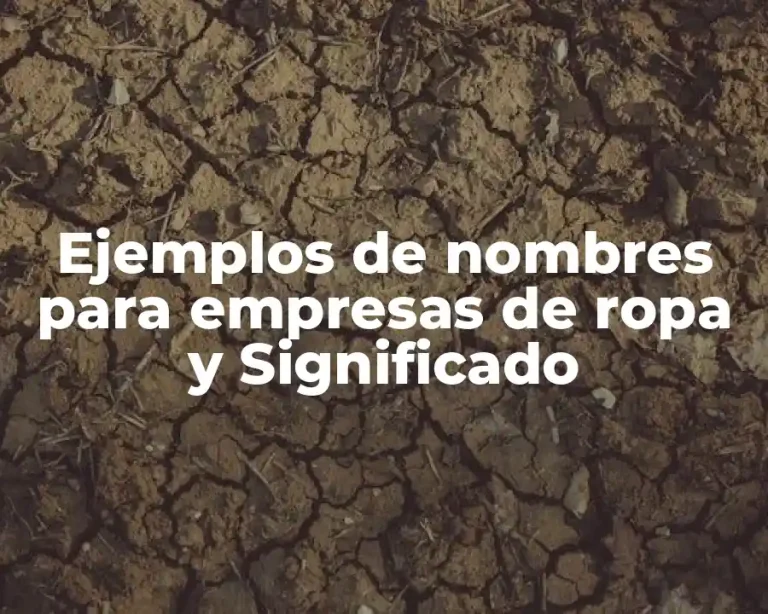 Ejemplos de nombres para empresas de ropa y Significado