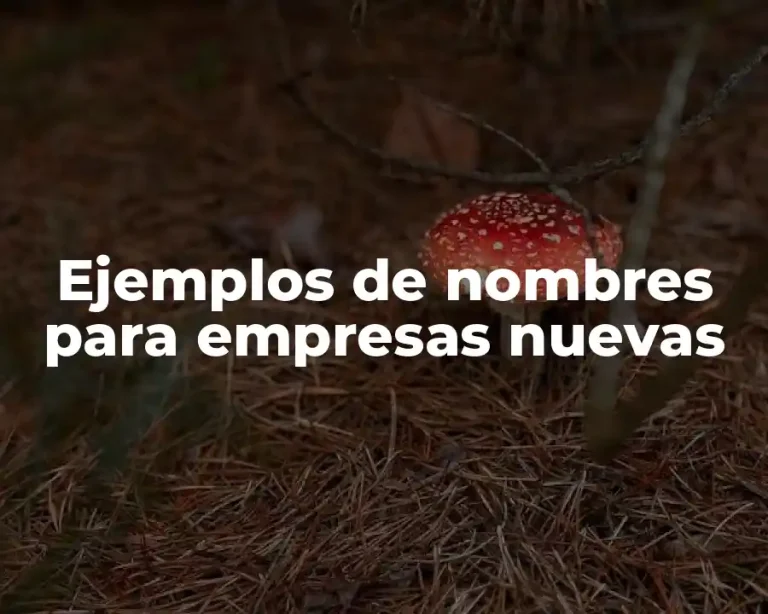 Ejemplos de nombres para empresas nuevas