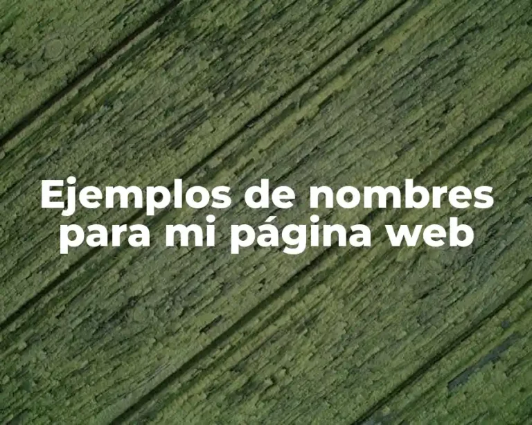 Ejemplos de nombres para mi página web