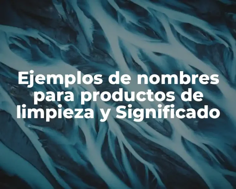 Ejemplos de nombres para productos de limpieza y Significado