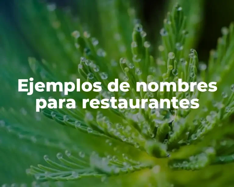 Ejemplos de nombres para restaurantes