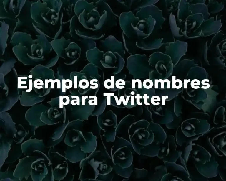 Ejemplos de nombres para Twitter