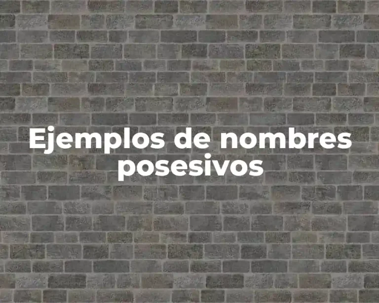 Ejemplos de nombres posesivos