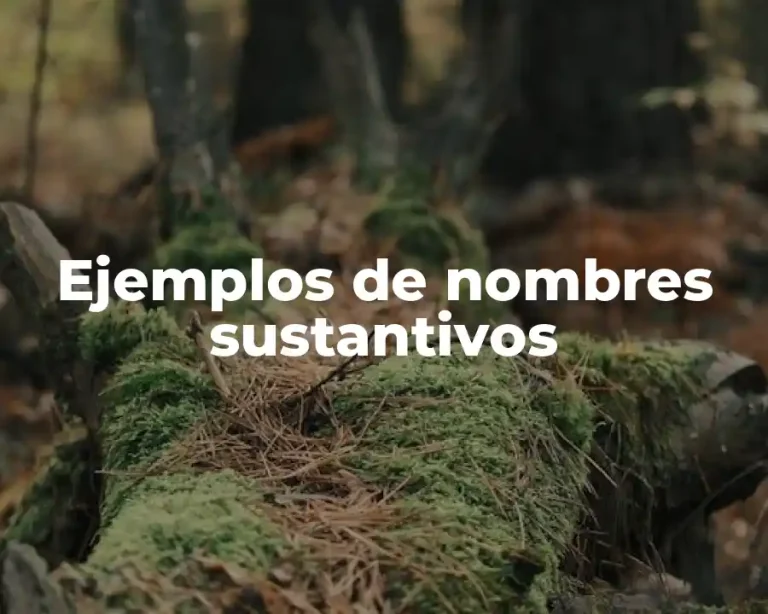 Ejemplos de nombres sustantivos