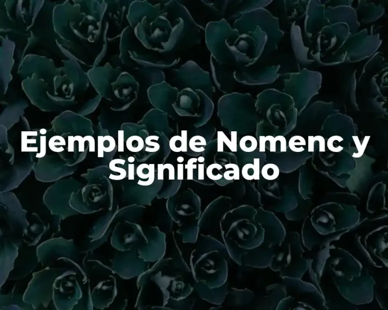 Ejemplos de Nomenc y Significado