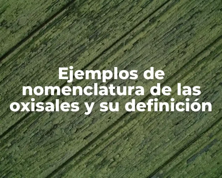 Ejemplos de nomenclatura de las oxisales y su definición