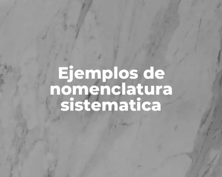 Ejemplos de nomenclatura sistematica