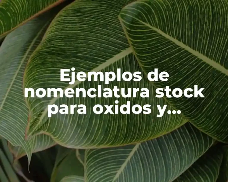 Ejemplos de nomenclatura stock para oxidos y Significado