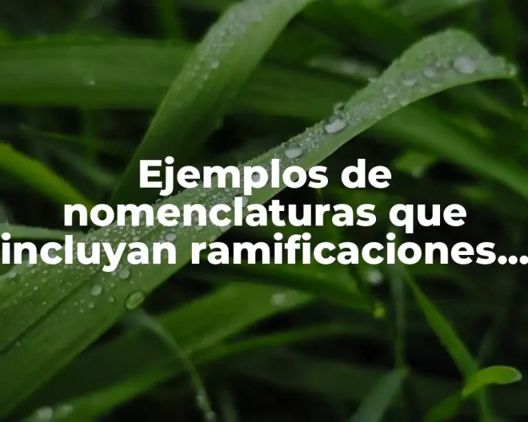 Ejemplos de nomenclaturas que incluyan ramificaciones de alquenos con