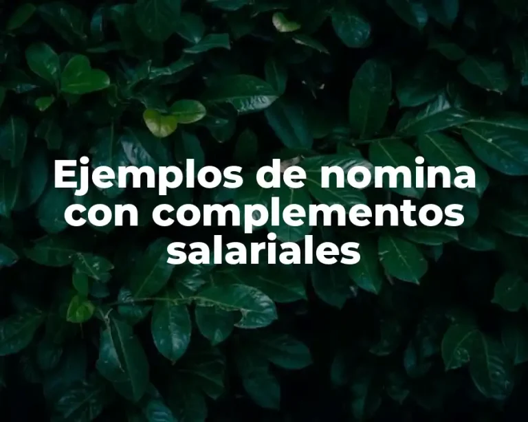 Ejemplos de nomina con complementos salariales