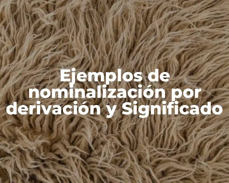 Ejemplos de nominalización por derivación y Significado