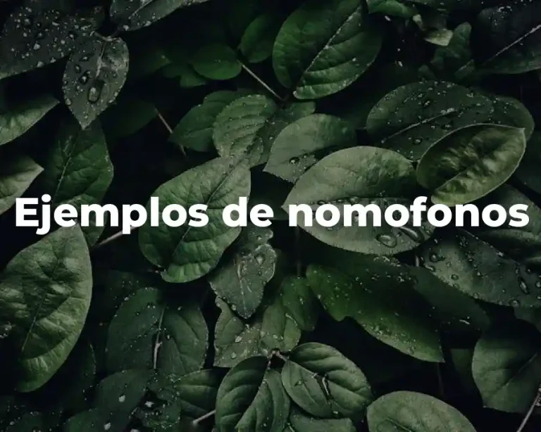 Ejemplos de nomofonos