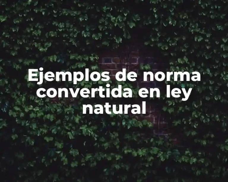 Ejemplos de norma convertida en ley natural
