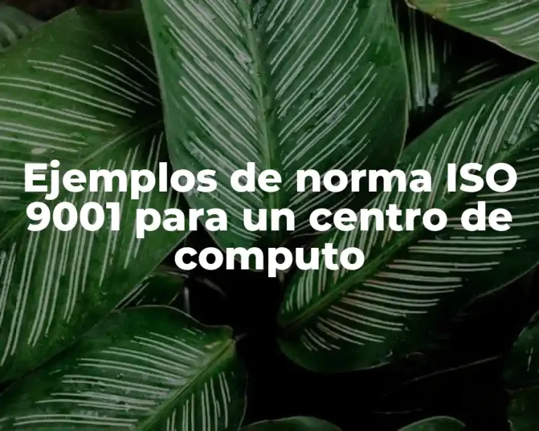 Ejemplos de norma ISO 9001 para un centro de computo