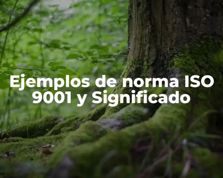 Ejemplos de norma ISO 9001 y Significado