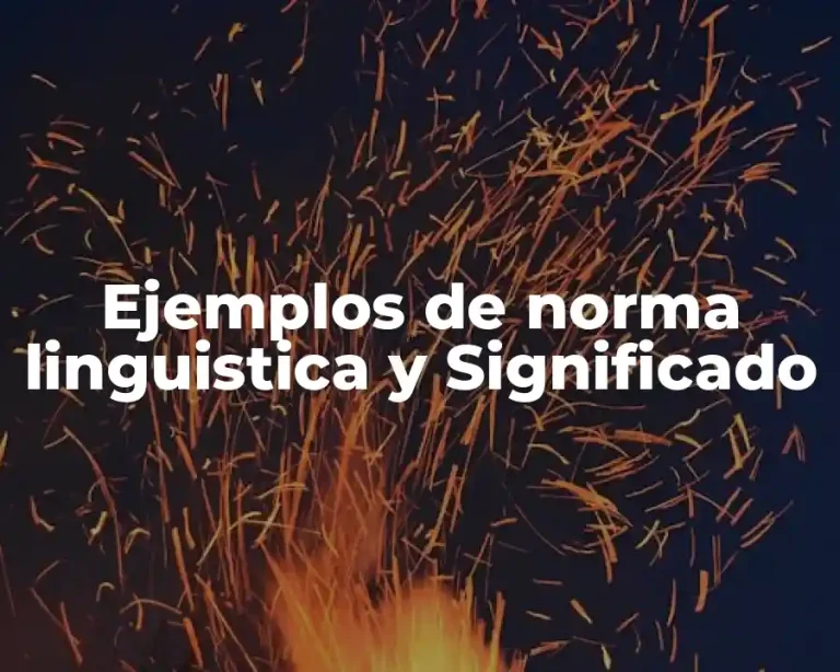 Ejemplos de norma linguistica y Significado