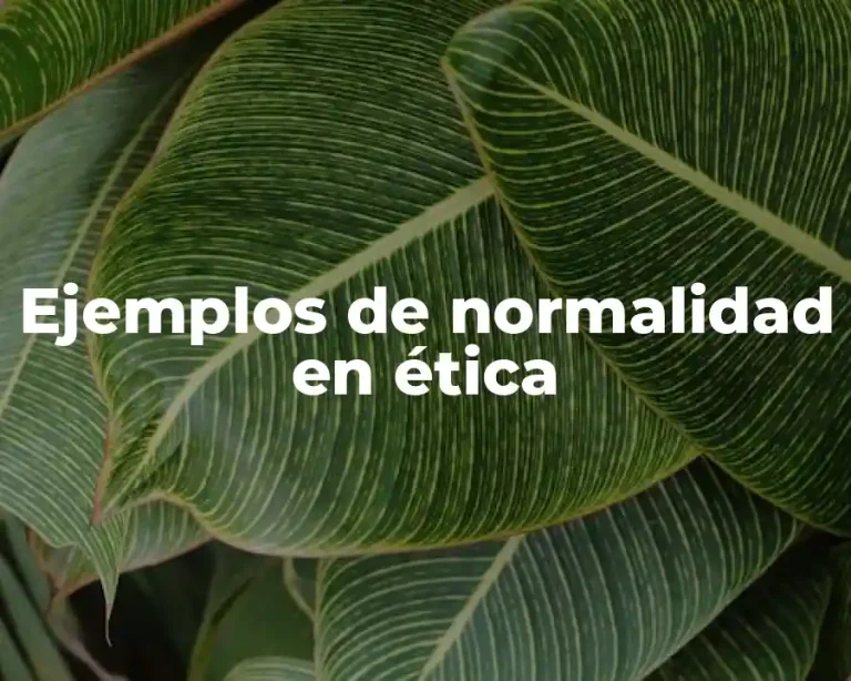 Ejemplos de normalidad en ética