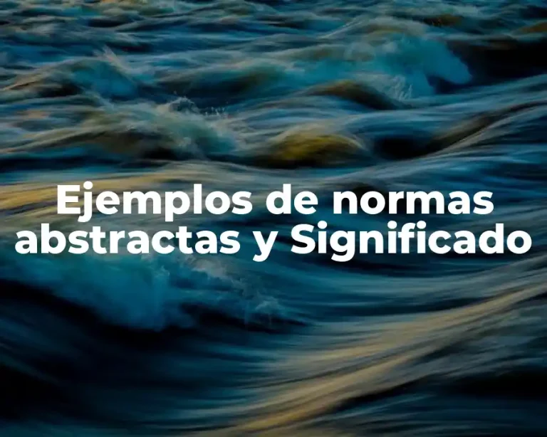 Ejemplos de normas abstractas y Significado