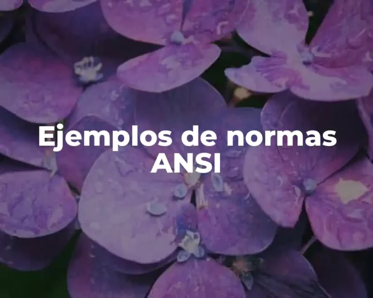 Ejemplos de normas ANSI
