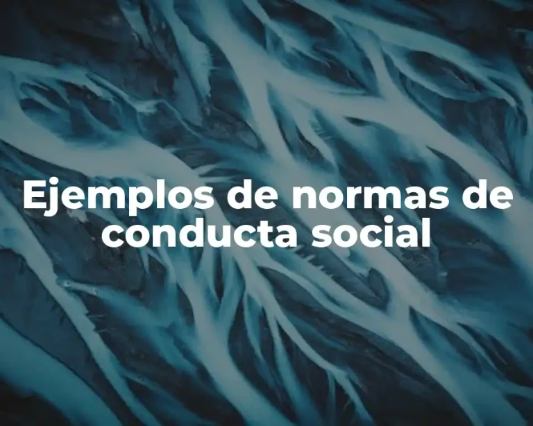 Ejemplos de normas de conducta social