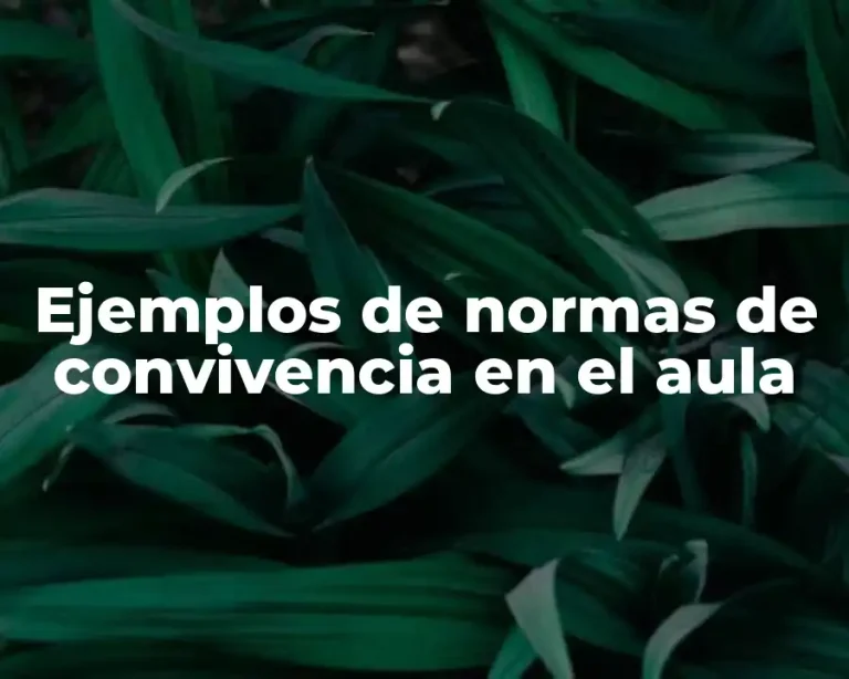 Ejemplos de normas de convivencia en el aula