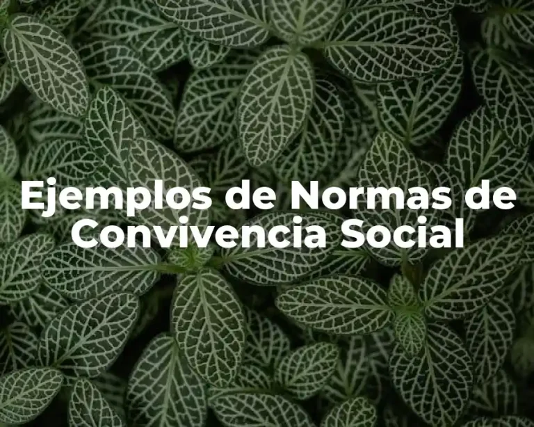 Ejemplos de Normas de Convivencia Social