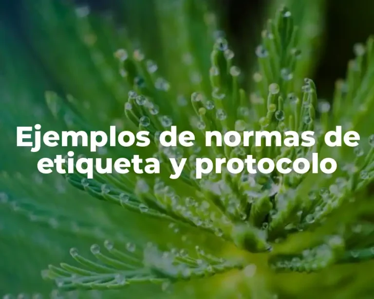 Ejemplos de normas de etiqueta y protocolo