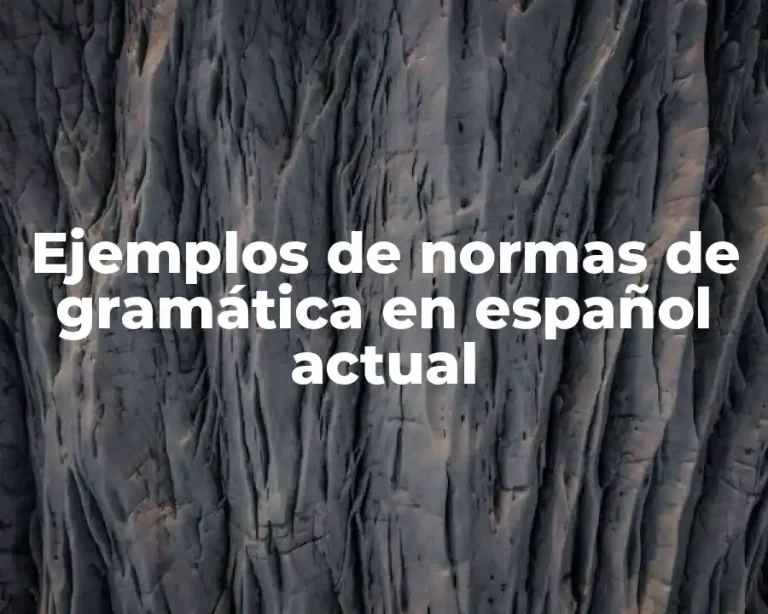 Ejemplos de normas de gramática en español actual