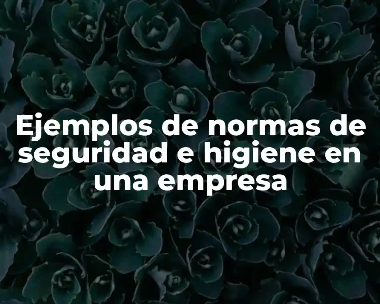 Ejemplos de normas de seguridad e higiene en una empresa